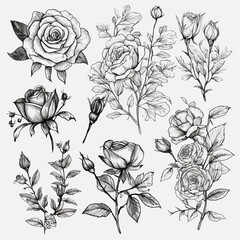 set of floral doodle with rose flower leaves and branch