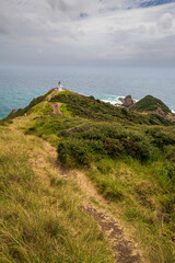 Windy day at Cape Reinga, top of the North Island, New Zealand