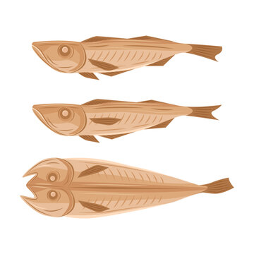 Vector of korean dried pollack