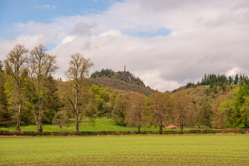 landscape freshly sprouting grain shoots in tidy field with a wall, trees and clouds in the background shot in scotland in spring