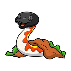 Cute red blood python cartoon out from hole