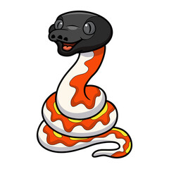 Cute red blood python cartoon