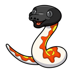 Cute red blood python cartoon