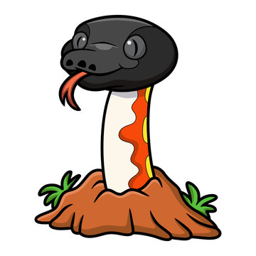 Cute red blood python cartoon out from hole