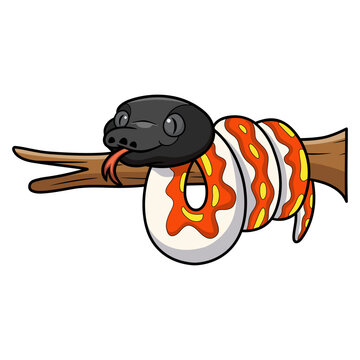 Cute red blood python cartoon on tree branch
