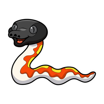 Cute red blood python cartoon
