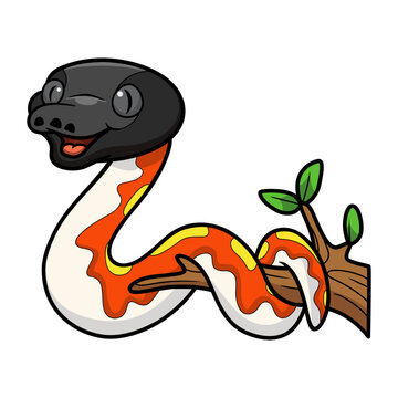 Cute red blood python cartoon on tree branch