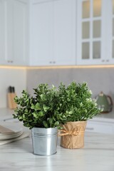 Fototapeta na wymiar Aromatic potted herbs on white marble table in kitchen, space for text