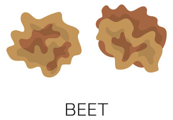 Beet seed icon. Farm vegetable cartoon symbol