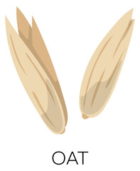 Oat seeds icon. Cereal grain. Farm agriculture