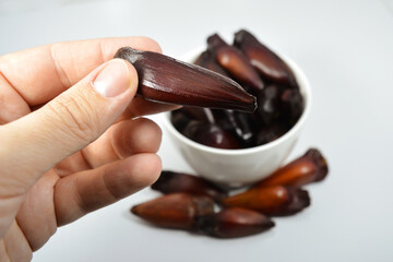 Someone picking traditional Pinhão (pinion nut). Edible araucaria seeds blurred into a white bowl in white background.