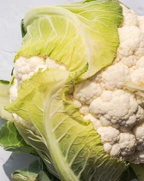 cauliflower on a white background