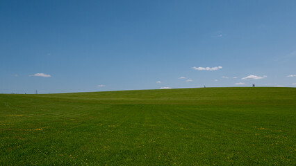 wind turbine in the field