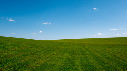 green field and blue sky