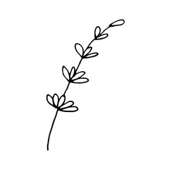 hand drawn illustration