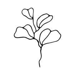 dollar leaf hand drawn element