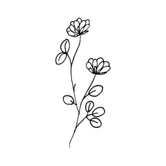 simple wild floral hand drawn