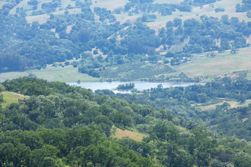 Naklejka na ściany i meble Grant Lake viewed from Joseph D. Grant County Park, Santa Clara County, California.