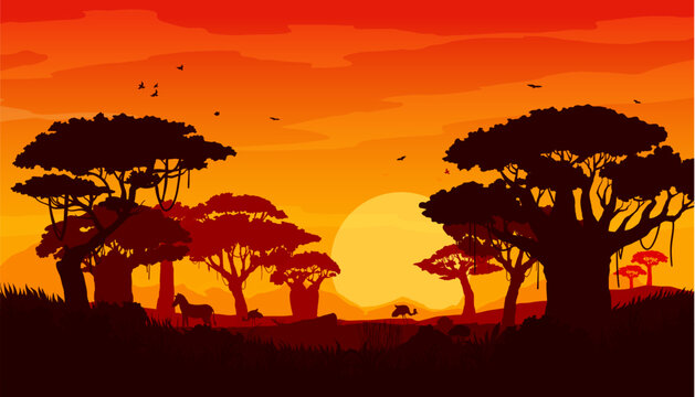 African savannah sunset landscape, scenery silhouettes of trees, sun, safari animals and birds. Vector background with wild nature of Africa, evening scene with orange sky, setting sun and acacias