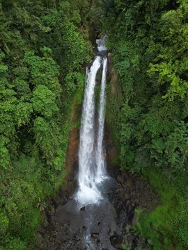 Aerial drone view of Gitgit Falls in Bali. Tall single drop waterfall in lush green tropical forest in Northern Bali, Indonesia.