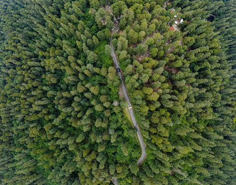 Drone view from Desert of Lions wood in Mexico City