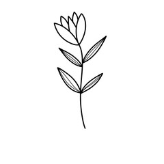 Floral element flower