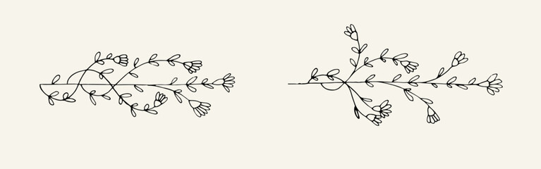 Set of wild floral hand drawn illustration