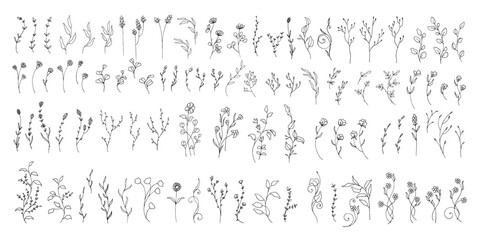 Big bundle of floral hand drawn element. Minimal flower ornament