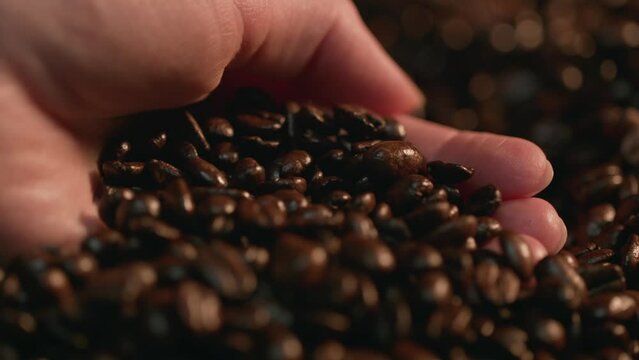 Caucasian Hand Scooping Up Coffee Beans, Slow Motion. Shot with ARRI Alexa in ArriRaw at 120 fps and exported 23.98 fps, QuickTime Apple ProRes 422 HQ.
