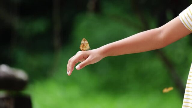 Beautiful butterfly flapping wings on kid hand in the forest