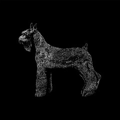 Giant Schnauzer hand drawing vector isolated on black background.