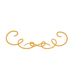 Ornamental curls, swirls divider and filigree ornaments vector 