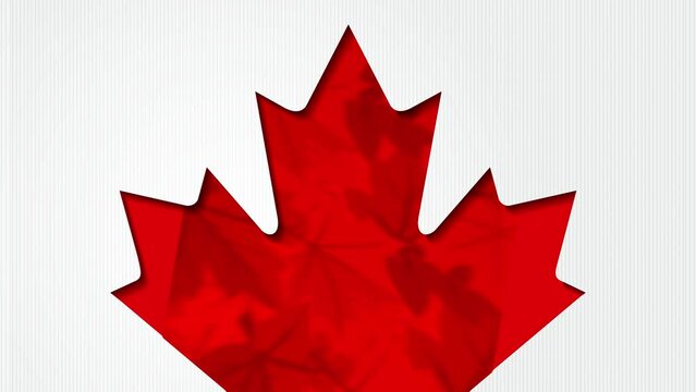 Happy Canada Day holiday animation with red paper cut canada maple leaf. 1th of July celebration background