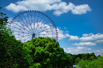 Fototapeta premium A ferris wheel at the park behind the blue sky