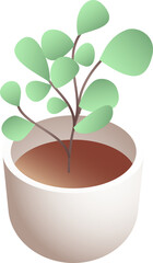 potted plants illustration