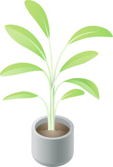 potted plants illustration