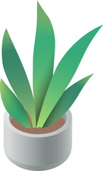 potted plants illustration