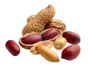 Peanut in a shell and cleared