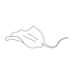 Obraz premium stingray icon vector