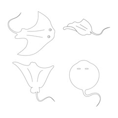 stingray icon vector