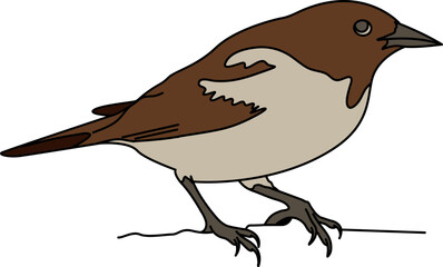 Brown Bird Illustration