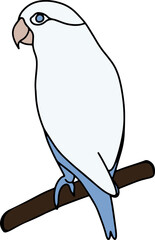Lovebird Bird Illustration