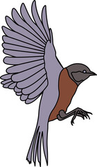 Flying Bird Illustration