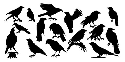 raven silhouettes