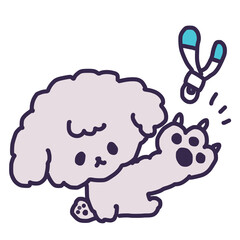 爪切りされる爪が伸びているかわいいトイプードルの子犬