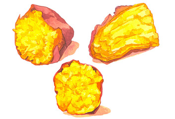 ほくほく美味しい黄金色の焼き芋水彩イラストセット