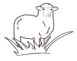 
Doodle drawing sheep in grass field, vector cartoon illustration