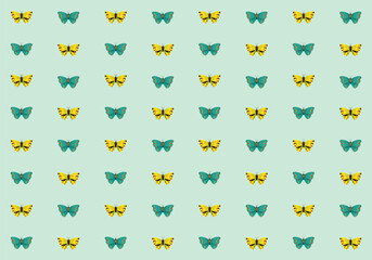 seamless pattern with butterfly