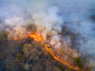 Wildfires release carbon dioxide (CO2) emissions and other greenhouse gases (GHG) that contribute...