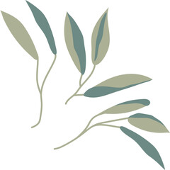 Fototapeta premium Branch Leaves Design Element